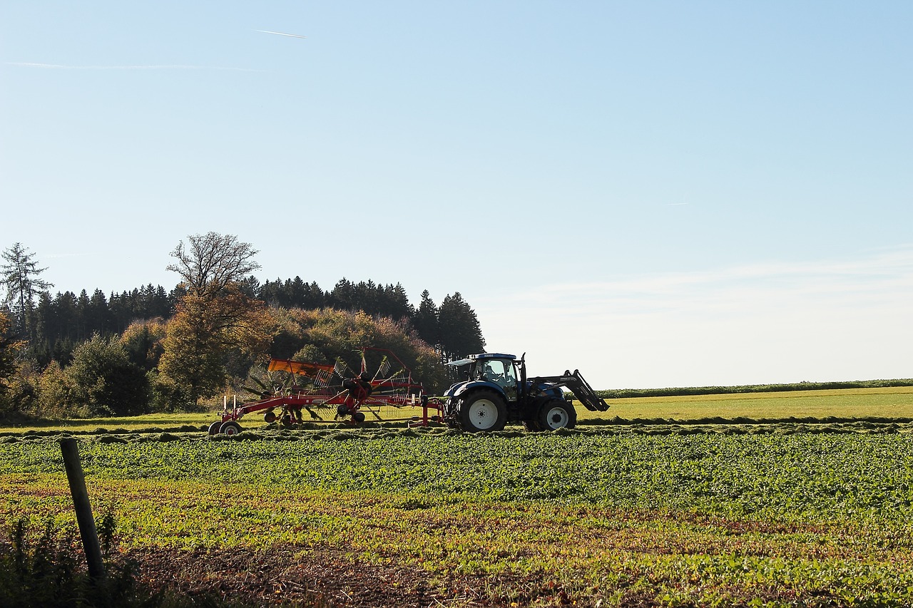 Best Eco-Farming Techniques to Maximize Crop Yield